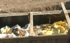 ભાવનગરઃ લાખોના ખર્ચે તૈયાર કરાયેલા ચેકડેમના બાંધકામમાં તો નીકળ્યું કંઈક આવું, જોઈ લો આ વીડિયો