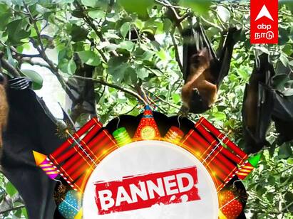 Diwali : வௌவால்களுக்காக பட்டாசை தியாகம் செய்த கிராமம்