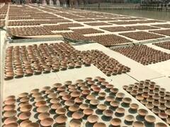 Deepotsav 2022: Preparations At Banks Of Sarayu River As Lakhs Of Diyas To Be Illuminated Today — IN PICS