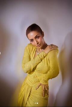 Malaika Arora B’day: ਮਾਡਲ ਜਾਂ ਅਭਿਨੇਤਰੀ ਨਹੀਂ, ਸਕੂਲ ਟੀਚਰ ਬਣਨਾ ਚਾਹੁੰਦੀ ਸੀ ਮਲਾਇਕਾ ਅਰੋੜਾ