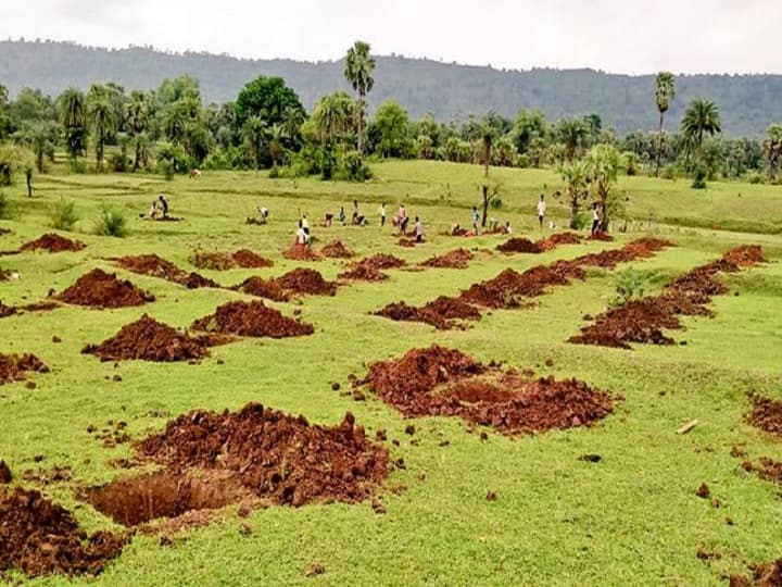 birsa Harit Gram Yojana provide Employment in rural areas by plantation of 100 fruit Plants Birsa Harit Gram Yojana: बंजर जमीनों पर लगाये जाएंगे 100 फलदार पौधे, छोटे किसानों को रोजगार, कुपोषण-पलायन से मिलेगी राहत