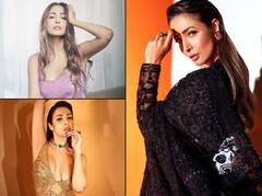 Happy Birthday Malaika Arora: ਅਭਿਨੇਤਰੀ ਮਲਾਇਕਾ ਅਰੋੜਾ ਹੈ ਕਰੋੜਾਂ ਦੀ ਮਾਲਕਣ, ਜਾਣ ਕੇ ਹੋ ਜਾਓਗੇ ਹੈਰਾਨ