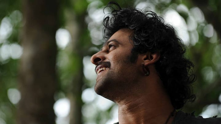 পরিবারের তৃতীয় সন্তান ছিলেন প্রভাস। বাবা উপ্পালাপতি সূর্য নারায়ন রাজু পেশায় ছিলেন প্রযোজক।