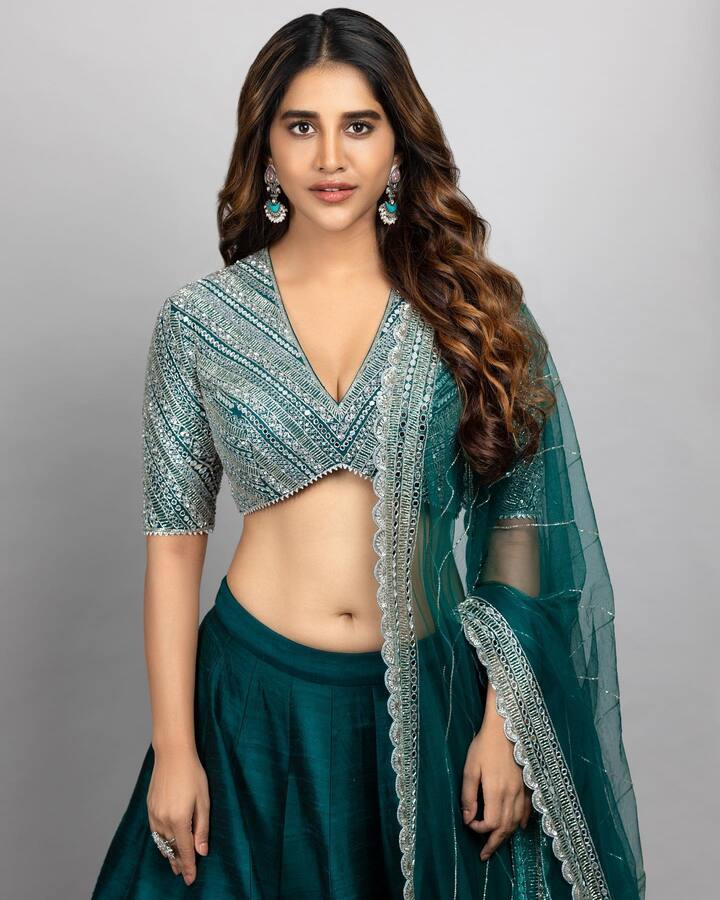 నభా నటేష్ బ్యూటీఫుల్ ఫోటోలు  -Image Credit: Nabha Natesh/Instagram