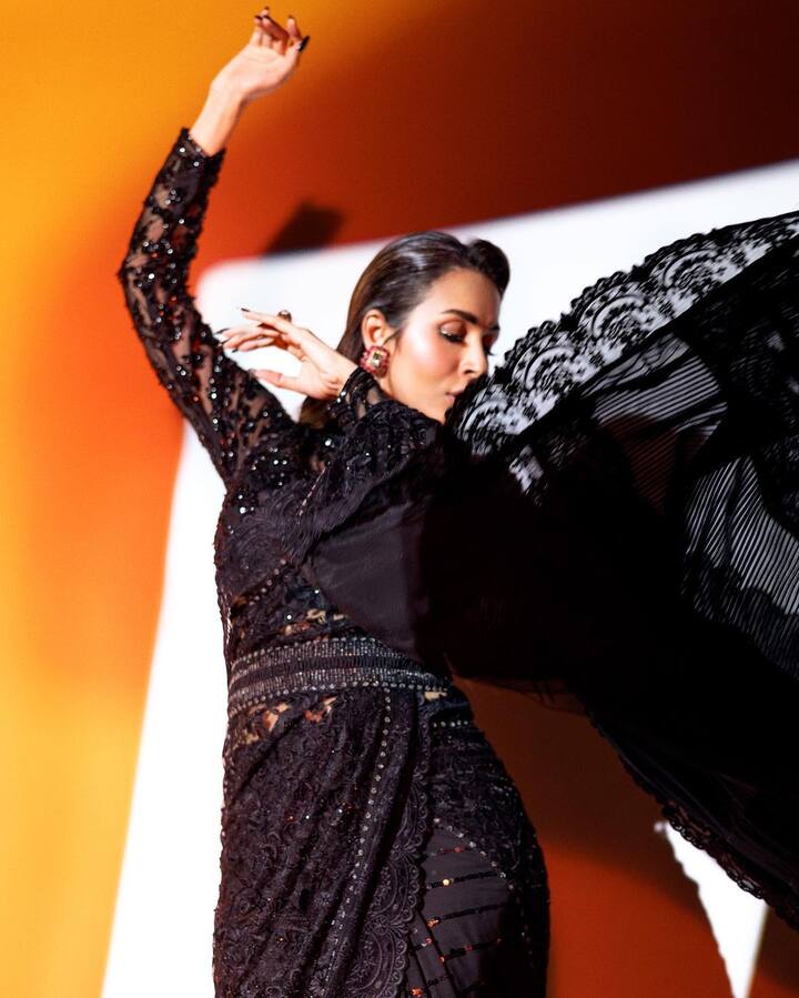छैय्या छैय्या या गाण्यामुळे मलायकाला विशेष लोकप्रियता मिळाली. (Malaika Arora/instagram)