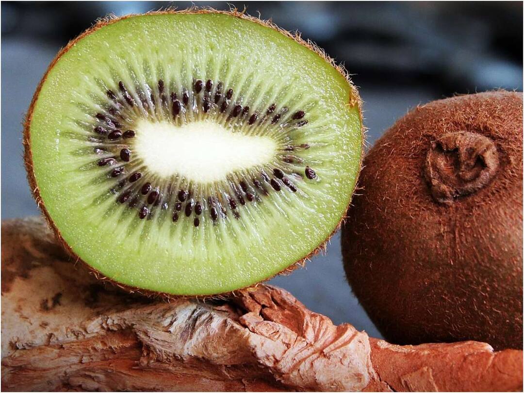 Eat Two Kiwi Fruits A Day To Recover Quickly From Dengue Dengue