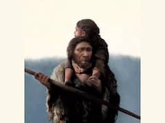 First Known Neanderthal Family Found In Siberian Cave. All You Need To Know