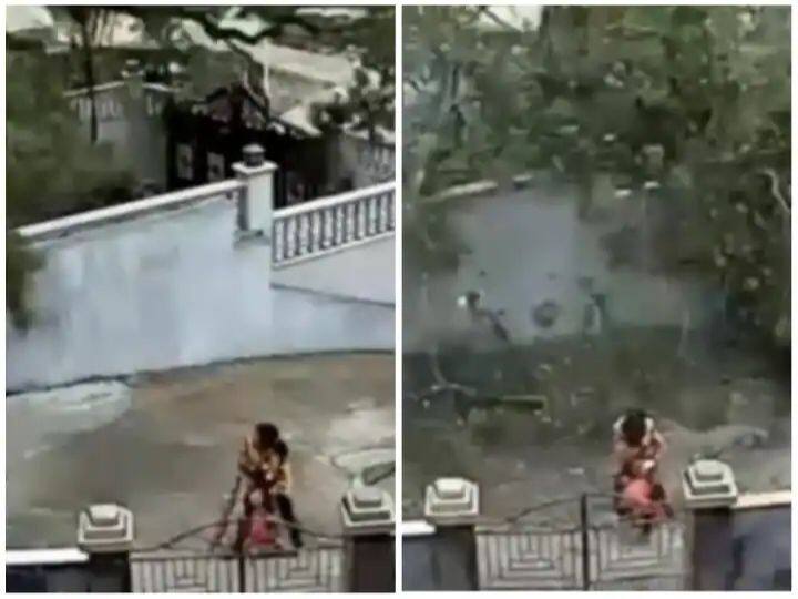 Video Viral marathi news suddenly huge tree fell than mother stood in front to save her son Video Viral : मुलावर आलेल्या संकटाची चाहूल होताच धावली माऊली! लावली जीवाची बाजी, हृदयस्पर्शी व्हिडीओ व्हायरल