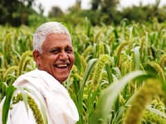 खेत-खलिहान की पूजा, पशुओं की सजावट! शहर के शोर-शराबे से दूर... कुछ इस तरह दिवाली मनाते हैं किसान