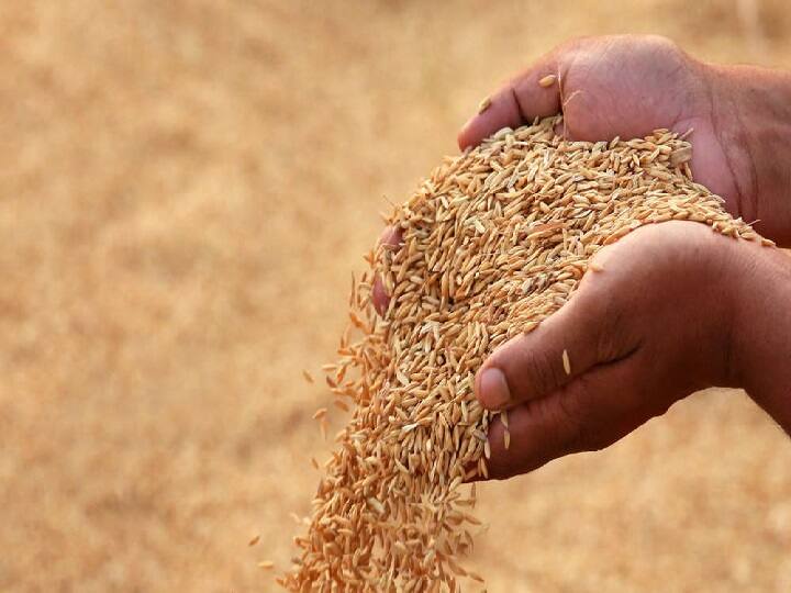 Chhattisgarh Government planed to purchase 110 lakh tones of paddy in Marketing Season 2022-23 Crop Purchase: छत्तीसगढ़ में 110 टन धान खरीदने का लक्ष्य, 24 लाख से ज्यादा किसानों ने करवाया रजिस्ट्रेशन