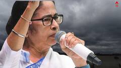 Mamata Banerjee: বাড়ির কালীপুজোয় ভোগ রাঁধলেন মমতা