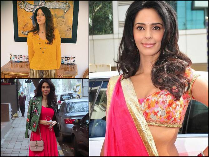 Happy Birthday Malika Sherawat Know About Filmography, Birthday And Untold Facts Of Actress | Mallika Sherawat Birthday: जब मलिका शेरावत के पिता नहीं चाहते थे उन्हें एक्ट्रेस के रूप में देखना ...