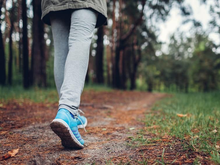 Benefits of walking a few steps in week good for healthy life by knowledge news Benefits of Walking: आठवड्यातून इतकी पावलं चालल्याने मृत्यूचा धोका होईल कमी, काय म्हटलंय संशोधनात?
