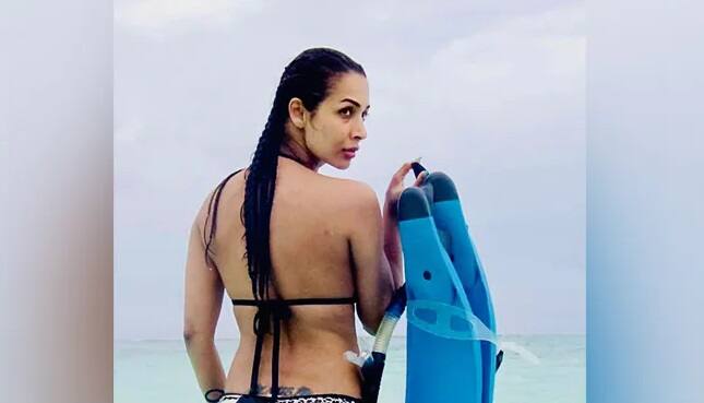 Malaika Arora Bold Look: બૉલીવુડની હૂસ્ન પરી મલાઇકા અરોડા (Malaika Arora)ની અદાઓના દરેક કાયલ થયા છે. જ્યારે પણ મલાઇકા કેમેરાની સામે અદાઓનો જાદૂ બિખેરે છે, તો તેને જોઇને ફેન્સ બેકાબૂ થઇ જાય છે.