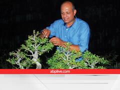 इस घर पर बेअसर है दिल्ली का प्रदूषण, ये पेड़ बने सुरक्षा कवच! मालिक ने भी हजारों पेड़ बेचकर कमाये लाखों रुपये