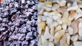 Seasonal Vegetable :  ਸਿੰਘਾੜਿਆਂ ਦੇ ਫਾਇਦੇ ਜਾਣ ਕੇ ਹੋ ਜਾਓਗੇ ਹੈਰਾਨ, ਘਰ 'ਚ ਜ਼ਰੂਰ ਬਣਾਓ ਇਸਦੀ ਸਬਜ਼ੀ