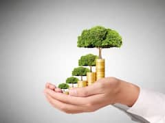 SIP Mutual Funds: एसआईपी क्या है? कैसे मिलता है मुनाफा, निवेश से पहले इन बातों का रखें ध्यान