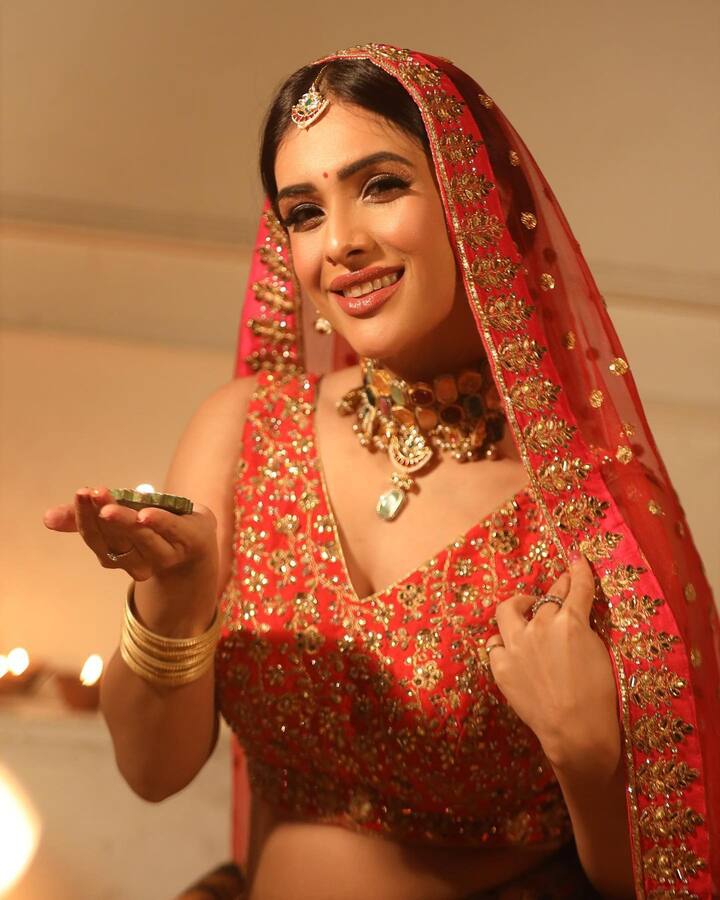 नेहा ने दिवाली पर अपने इंस्टाग्राम अकाउंट पर बहुत ही खूबसूरत तस्वीरें शेयर की हैं. जिसमें वो दुल्हन की तरह सजी हुई नजर आ रही हैं.