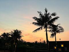 Actress Amy Jackson: நீண்ட நாட்களுக்கு பிறகு இந்தியா திரும்பிய நடிகை எமி ஜாக்சன் !