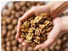 Dry Fruits And Health : ਸੁੱਕੇ ਮੇਵਿਆਂ ਤੋਂ ਵੱਧ ਤੋਂ ਵੱਧ ਲਾਭ ਲੈਣ ਭਿਗਾਉਣਾ ਜ਼ਰੂਰੀ, ਤਾਂ ਹੀ ਮਿਲਣਗੇ ਸਾਰੇ ਤੱਤ