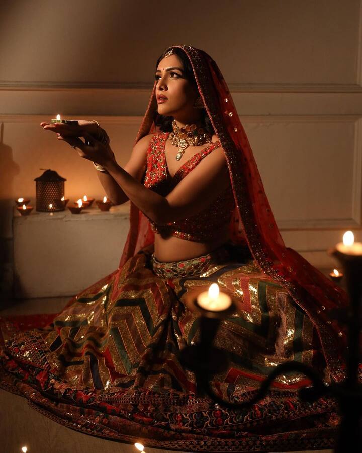 अक्सर अपने बोल्ड लुक को लेकर सुर्खियां बटोरने वाली नेहा मलिक दिवाली के मौके पर ट्रेडिशनल लुक में नजर आई हैं.