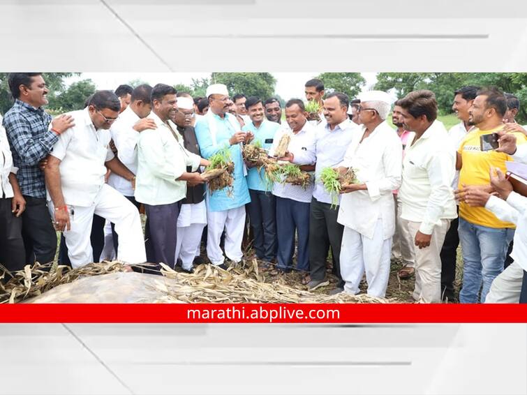 maharashtra News Aurangabad News After the visit of Agriculture Minister Abdul Sattar the Panchnama team is not reachable Aurangabad: कृषिमंत्र्यांचा दौरा संपताच पंचनामे करणारं पथक 'नॉट रिचेबल'; आता दिवाळीनंतरच पंचनामे होणार