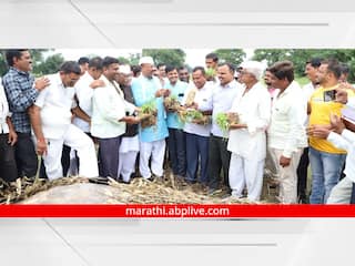 Aurangabad: कृषिमंत्र्यांचा दौरा संपताच पंचनामे करणारं पथक 'नॉट रिचेबल'; आता दिवाळीनंतरच पंचनामे होणार