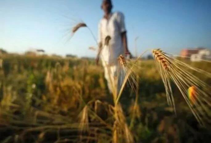 Maharashtra  Parbhani Good News for Farmers Advance crop insurance has been approved, the amount has started to be deposited in the farmers' accounts Parbhani:  शेतकऱ्यांसाठी आनंदवार्ता; अग्रीम पीकविमा मंजूर, शेतकऱ्यांच्या खात्यात रक्कम जमा होण्यास झाली सुरूवात