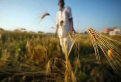 Parbhani: शेतकऱ्यांसाठी आनंदवार्ता; अग्रीम पीकविमा मंजूर, शेतकऱ्यांच्या खात्यात रक्कम जमा होण्यास झाली सुरूवात