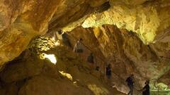 ਲਿਫਟ ਖਰਾਬ ਹੋਣ ਕਾਰਨ ਗ੍ਰੈਂਡ ਕੈਨਿਯਨ ਕੈਵਰਨਜ਼ 'ਤੇ 200 ਫੁੱਟ ਜ਼ਮੀਨ ਦੇ ਹੇਠਾਂ ਫਸੇ 5 ਸੈਲਾਨੀ