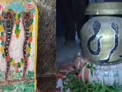 सीहोर में राम की अदालत में सांपों की पेशी कल, बताएंगे डसने का कारण, जानें-क्या है सालों से चली आ रही प्रथा