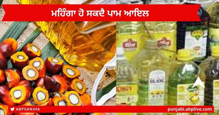 Palm oil Price  :  Palm oil prices seen ticking up as rains slash output and demand strengthens Palm oil Price  : ਮੁੜ ਵੱਧ ਸਕਦੀਆਂ ਪਾਮ ਆਇਲ ਦੀਆਂ ਕੀਮਤਾਂ , ਜ਼ਿਆਦਾ ਬਾਰਸ਼ ਕਾਰਨ ਬੁਰੀ ਤਰ੍ਹਾਂ ਪ੍ਰਭਾਵਿਤ ਹੋਇਆ ਉਤਪਾਦਨ