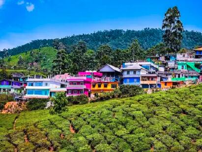 Heres a list of all the blissful things to do when in Munnar Munnar Tour : தென்னகத்து காஷ்மீர்னு எதுன்னு தெரியுமா?  மூணார் போறீங்களா? மறக்காம இதெல்லாம் செய்யுங்க..