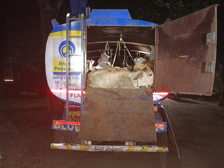 Jharkhand police foiled new idea of cattle smugglers, know big thing ann Jharkhand में पुलिस ने नाकाम कर दी पशु तस्करों की नई तरकीब, हुए सनसनीखेज खुलासे 