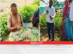 'नौकरी ना करने का फैसला सही था'....रेगिस्तान में बनाई अनोखी नर्सरी, खेती के साथ हुई 20 लाख तक कमाई 