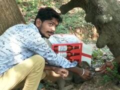 Andhra Pradesh: 45 Monkeys Found Dead In Srikakulam Forest Area, Poisoning Suspected