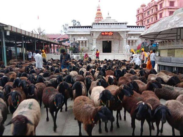 ढोल, कैताळचा गजर अन् भंडाऱ्याच्या उधळणीत हा कार्यक्रम मरगुबाई मंदिराजवळ पार पडला