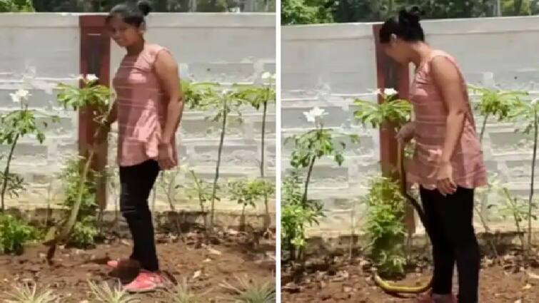 woman was seen running and catching a snake that came out of the house, video was blowing her senses Video : ਘਰੋਂ ਨਿਕਲੇ ਸੱਪ ਨੂੰ ਫੜ ਕੇ ਭੱਜਦੀ ਹੋਈ ਕੁੜੀ, ਵੀਡੀਓ ਨੇ ਉਡਾਏ ਹੋਸ਼
