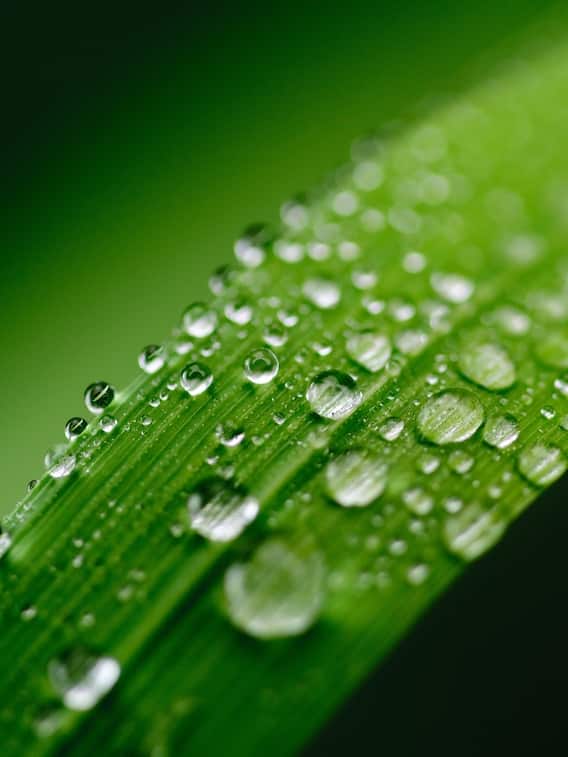 மழை எவ்வளவு பெய்தது தெரியுமா?