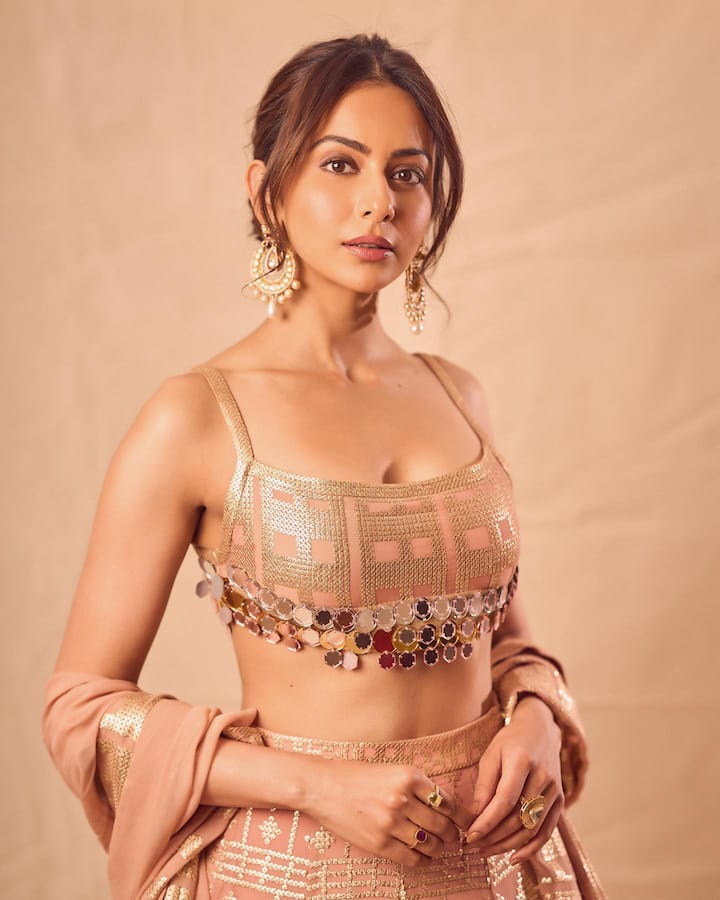 రకుల్ ప్రీత్ సింగ్ అందమైన ఫోటోలు  -Image Credit: Rakul Preet Singh/Instagram