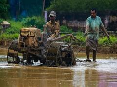 डीजल सब्सिडी के लिए 10 नवंबर तक करें आवेदन, मिलेंगे 750 रुपये/एकड़, इस लिंक पर क्लिक करें
