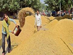 झारखंड में धान के किसानों के लिए अहम खबर, छठ महापर्व के बाद बोनस को लेकर साफ होगी तस्वीर