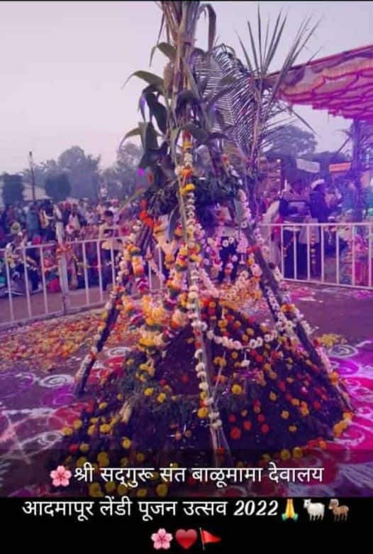 लाखो भाविकांचे श्रद्धास्थान असलेल्या श्री क्षेत्र आदमापुरात बाळूमामा देवस्थानचा बकरी बुजवणे हजारो भाविकांच्या उपस्थितीत  पार पडला