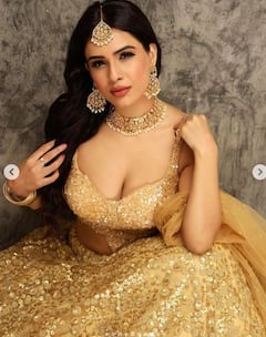 Neha Malik: ਗੋਲਡਨ ਲਹਿੰਗੇ 'ਚ ਦੁਲਹਨ ਵਾਂਗ ਸਜੀ ਨੇਹਾ ਮਲਿਕ, ਖੂਬਸੂਰਤੀ 'ਤੇ ਹਾਰ ਜਾਓਗੇ ਦਿਲ