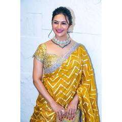 Divyanka Tripathi Diwali Pics: दिवाली पर गोल्डन लहंगे में चमकती दिखीं दिव्यांका त्रिपाठी, पति के साथ शेयर की खूबसूरत तस्वीरें