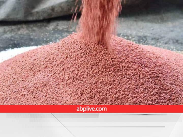 Agriculture Research: फास्फोरस के इस्तेमाल से फसल और जीवों को कई फायदे, रिसर्चर्स ने कहा- 80 फीसदी चाहिए इंप्रूवमेंट Agriculture Research says Need improvement the usage of phosphorus Fertilizer in Crops Agriculture Research: फास्फोरस के इस्तेमाल से फसल और जीवों को कई फायदे, रिसर्चर्स ने कहा- 80 फीसदी चाहिए इंप्रूवमेंट