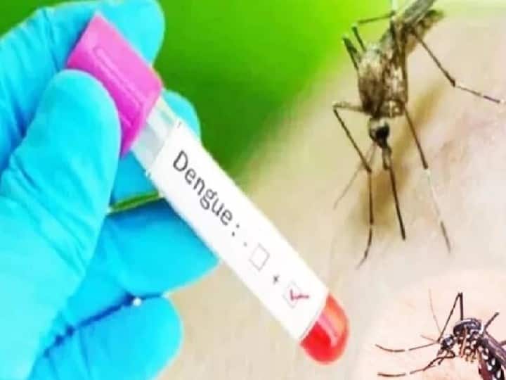 Gonda News Dengue and Malaria Cases Increasing Due to Rising Mosquitoes Health Department Fogging ANN Gonda News: गोंडा में मच्छरों का कहर! सभी डेंगू वार्ड मरीजों से भरे, हर दिन औसतन आ रहे 300 मरीज