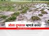 Wet drought : ओला दुष्काळ म्हणजे काय? दुष्काळ जाहीर करण्याचे निकष काय?