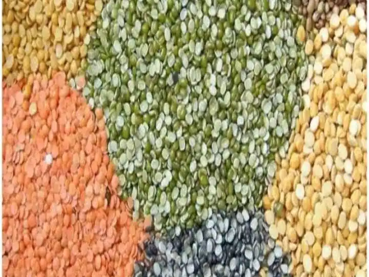 Rajasthan News: राजस्थान में मूंग, उड़द सोयाबीन की खरीद 1 नवंबर से, ऑनलाइन पंजीयन शुरू