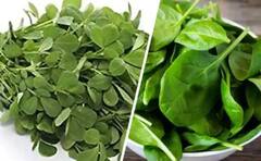 Health Tips : ਪਾਲਕ ਜਾਂ ਮੇਥੀ, ਤੁਹਾਡੀ ਸਿਹਤ ਲਈ ਕੀ ਹੈ ਜ਼ਿਆਦਾ ਫਾਇਦੇਮੰਦ, ਜਾਣੋ ਕਿਸ ਦੇ ਕਿੰਨੇ ਨੇ ਹੈਲਥ ਬੈਨੇਫਿਟਸ